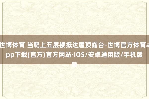 世博体育 当爬上五层楼抵达屋顶露台-世博官方体育app下载(官方)官方网站·IOS/安卓通用版/手机版