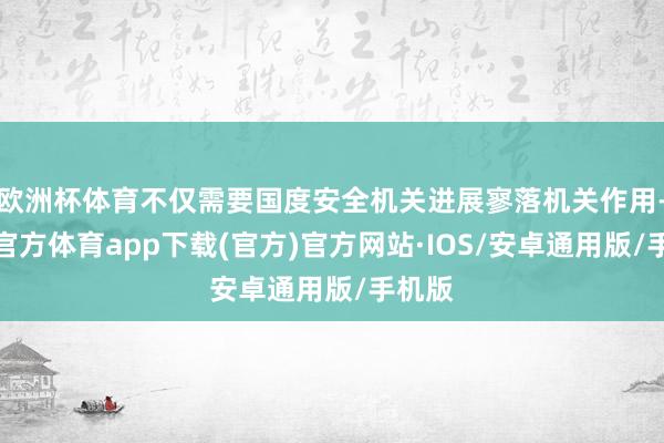 欧洲杯体育不仅需要国度安全机关进展寥落机关作用-世博官方体育app下载(官方)官方网站·IOS/安卓通用版/手机版