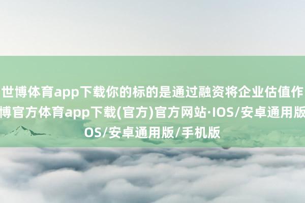 世博体育app下载你的标的是通过融资将企业估值作念高-世博官方体育app下载(官方)官方网站·IOS/安卓通用版/手机版