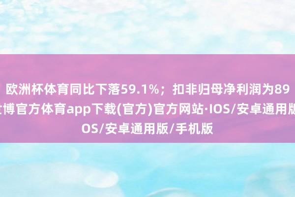 欧洲杯体育同比下落59.1%；扣非归母净利润为895万元-世博官方体育app下载(官方)官方网站·IOS/安卓通用版/手机版