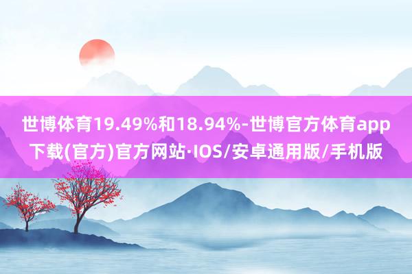 世博体育19.49%和18.94%-世博官方体育app下载(官方)官方网站·IOS/安卓通用版/手机版