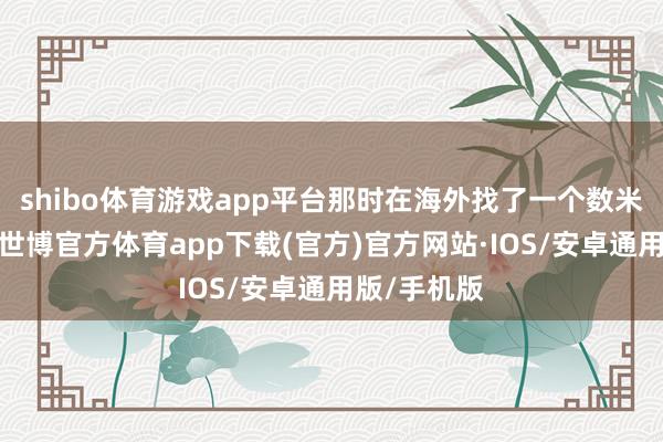 shibo体育游戏app平台那时在海外找了一个数米深的池塘-世博官方体育app下载(官方)官方网站·IOS/安卓通用版/手机版