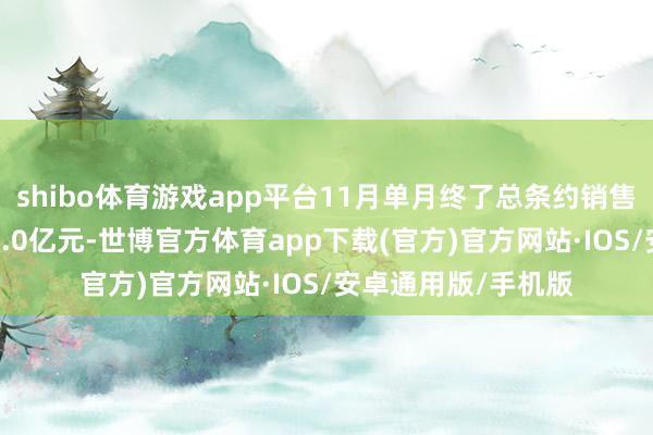 shibo体育游戏app平台11月单月终了总条约销售金额东谈主民币85.0亿元-世博官方体育app下载(官方)官方网站·IOS/安卓通用版/手机版